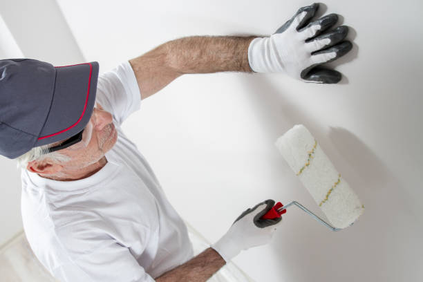 Professional Mold Removal in Sturgis, MI
